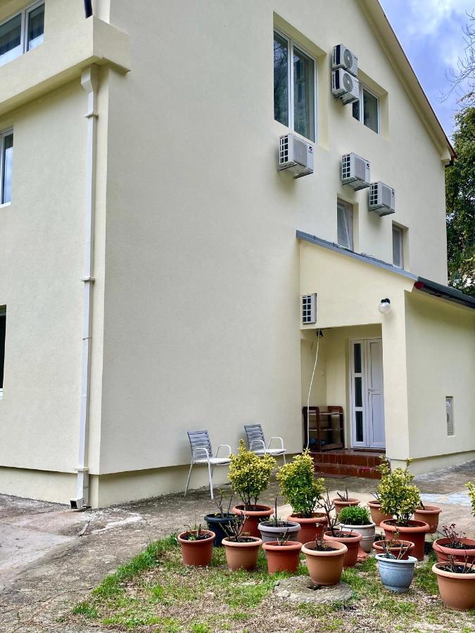 Apartments Lav Котор Екстериор снимка